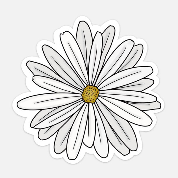 daisy-sticker-vsco-aesthetic-laptop