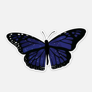 laptop butterfly sticker stars