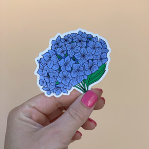 hydrangea-flowers-hand